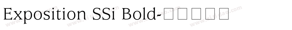 Exposition SSi Bold字体转换